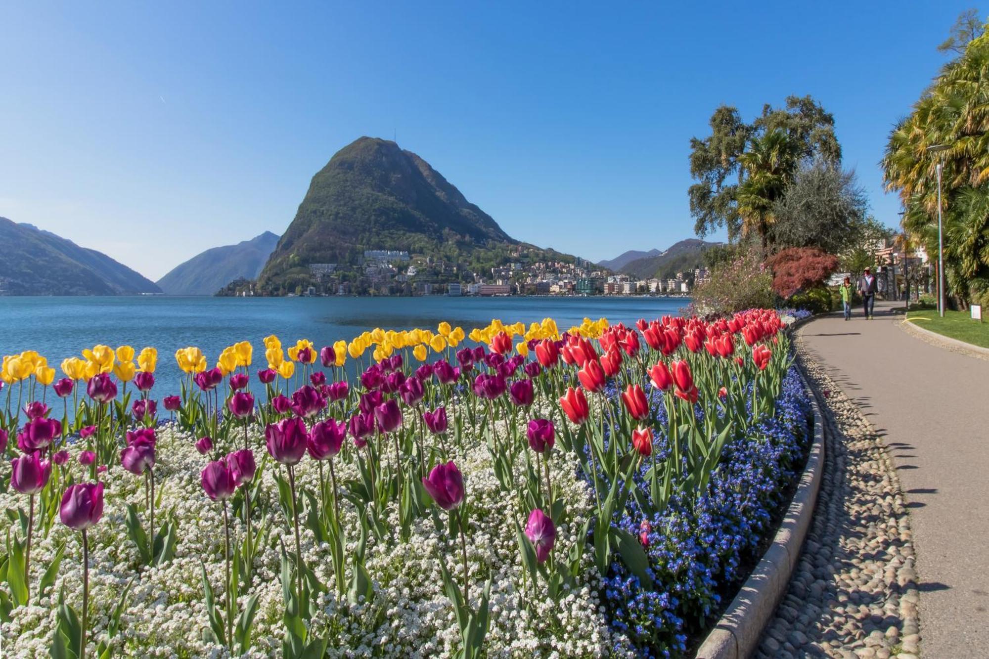Love Of Lugano - Happy Rentals Buitenkant foto